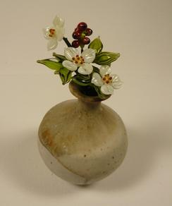 Cornus Canadensis - The only herb in the Dogwood Family.  The berries are edible